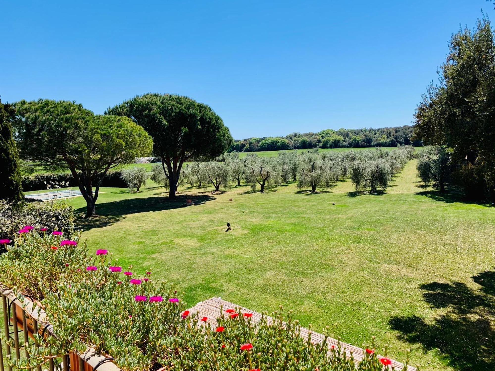 Apartamento Il Borghetto Di Ansedónia Exterior foto